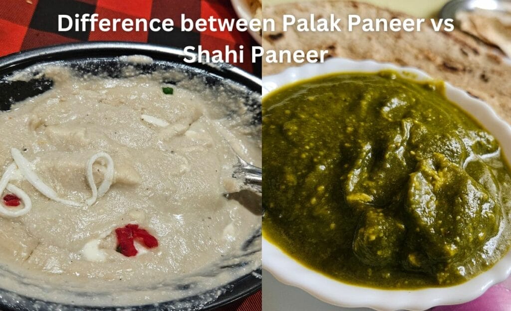 Difference between Palak Paneer vs Shahi Paneer image