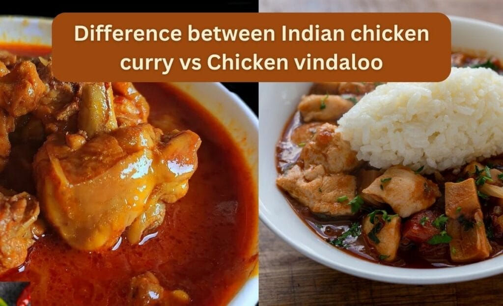 Difference between Indian chicken curry vs Chicken vindaloo